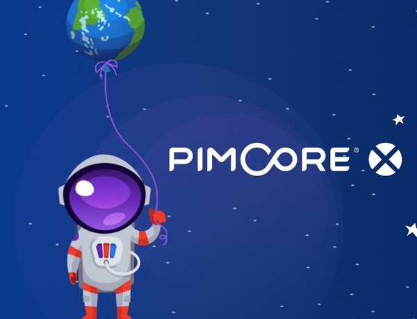 Pimcore X: How did our team contribute to building a better platform