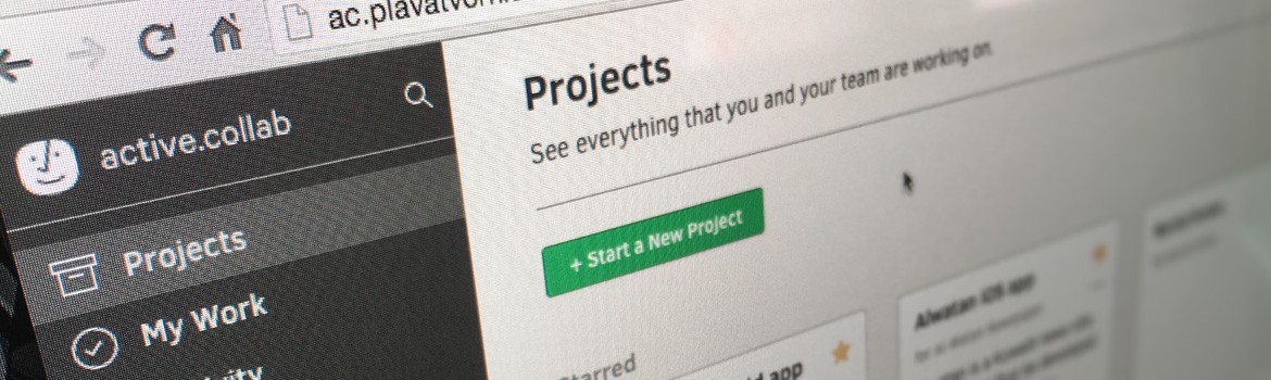 What should I expect from a development partner - Active Collab