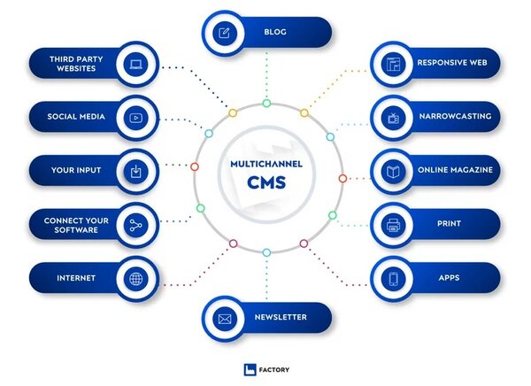 Pimcore vs. Drupal: How to choose the best CMS for your business?