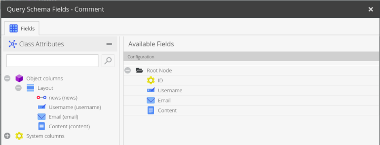 query schema fields comment