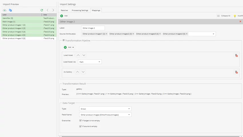Import Assets Mapping