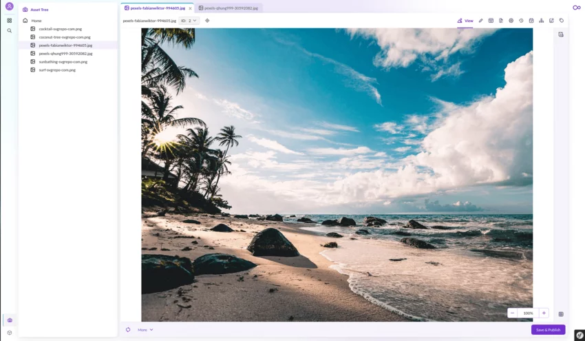 Example of open Asset tree and Asset Image in Pimcore Studio