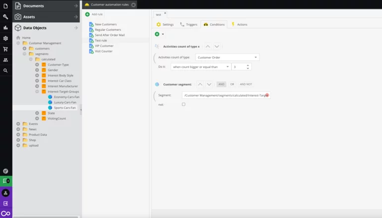 Conditions for customer automation rules in Pimcore