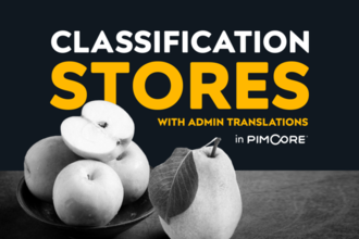 How to use Classification stores with admin translations in Pimcore
