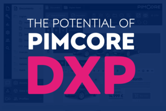 The potential of Pimcore DXP 