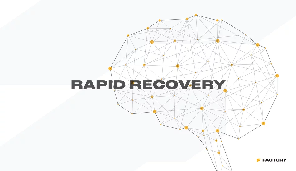 Disaster recovery and backup management for Pimcore systems.