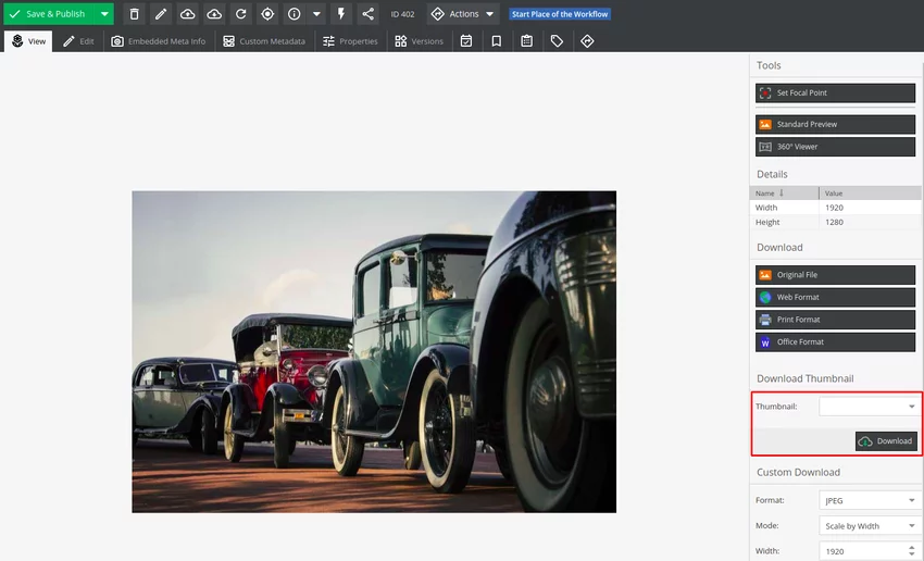 Selecting a thumbnail to download from Pimcore X admin panel